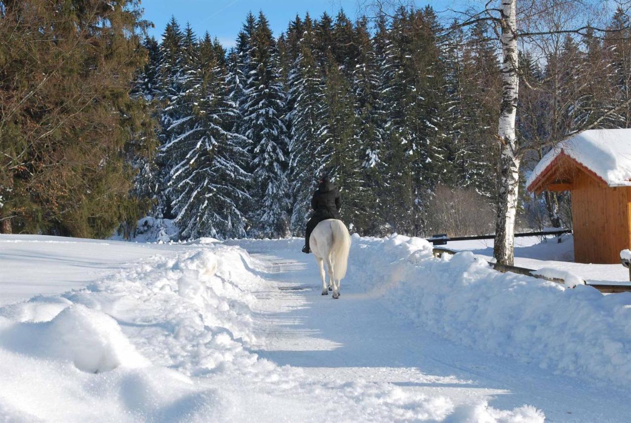 Ruheoase Am Forggensee Rieden Dış mekan fotoğraf